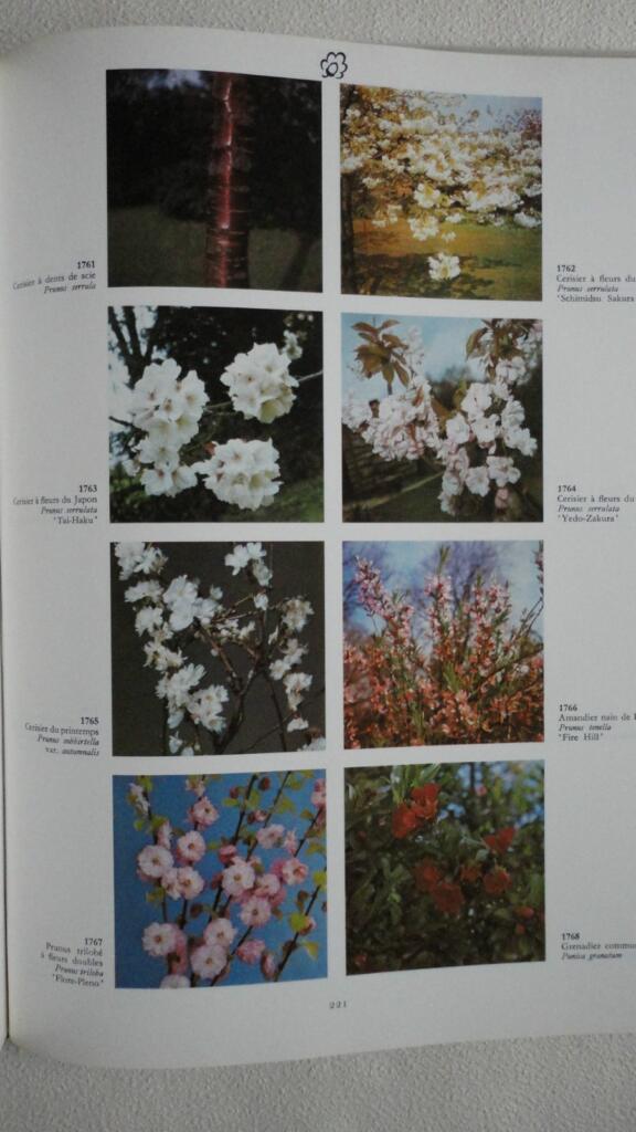Umfassender illustrierter Blumen- und Pflanzenleitfaden