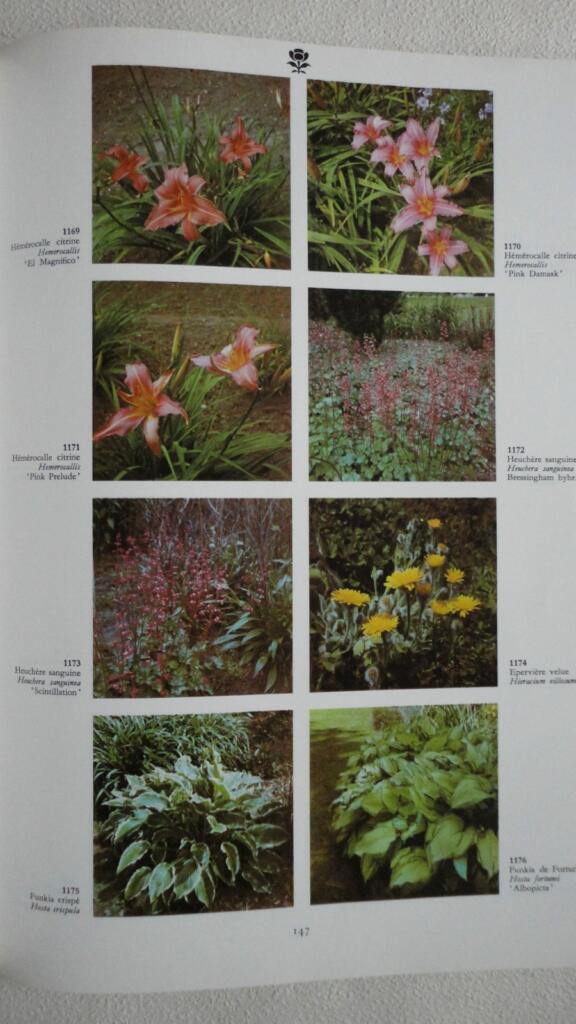 Umfassender illustrierter Blumen- und Pflanzenleitfaden