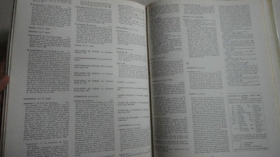 Praktisches Wörterbuch der Blumen und Pflanzen - Image 6