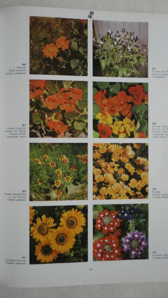 Umfassender illustrierter Blumen- und Pflanzenleitfaden