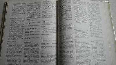 Praktisches Wörterbuch der Blumen und Pflanzen - Image 7