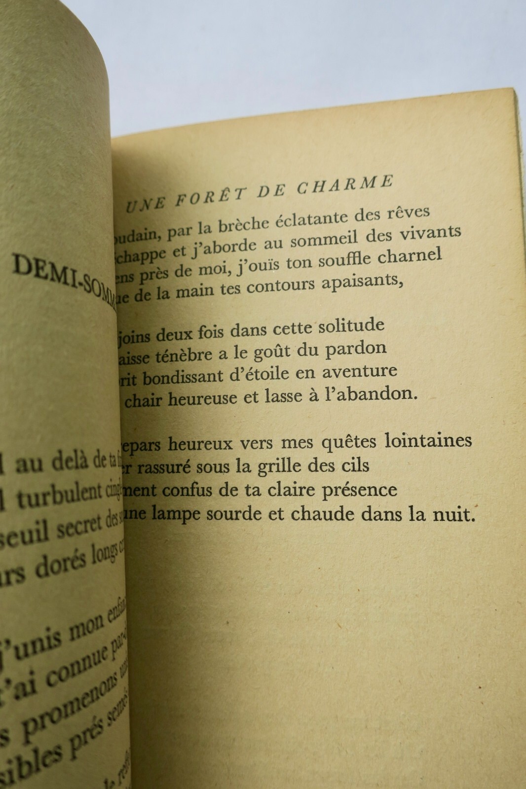 Love poems in an enchanted forest - Image 3
