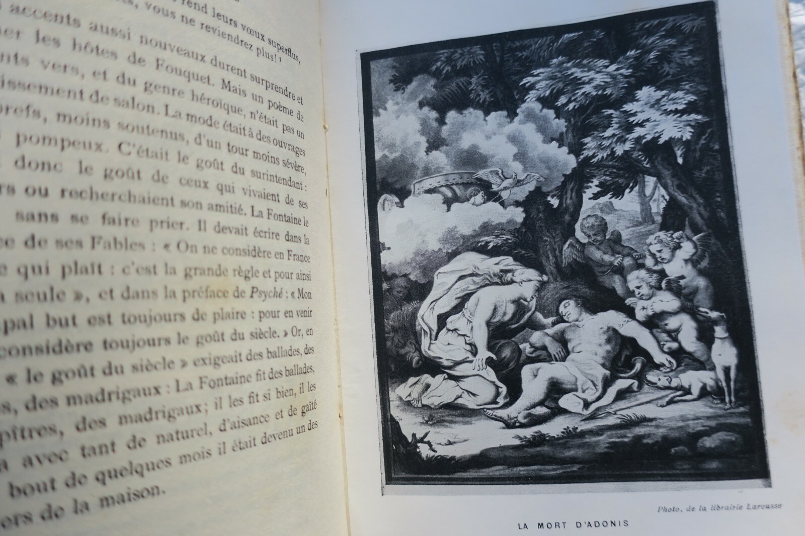 Gelehrter Essay über La Fontaine und das 17. Jahrhundert - Image 6