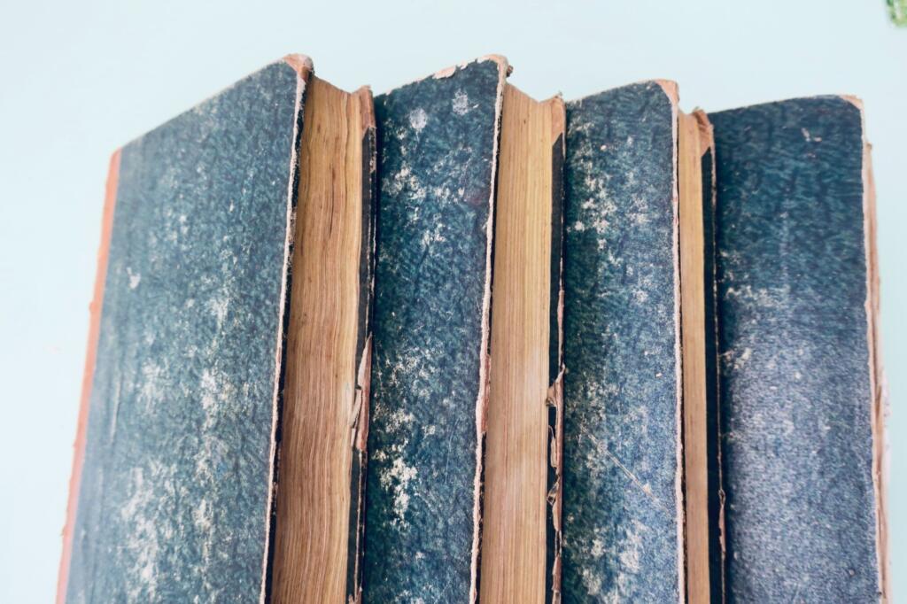 Comprehensive domestic encyclopedia