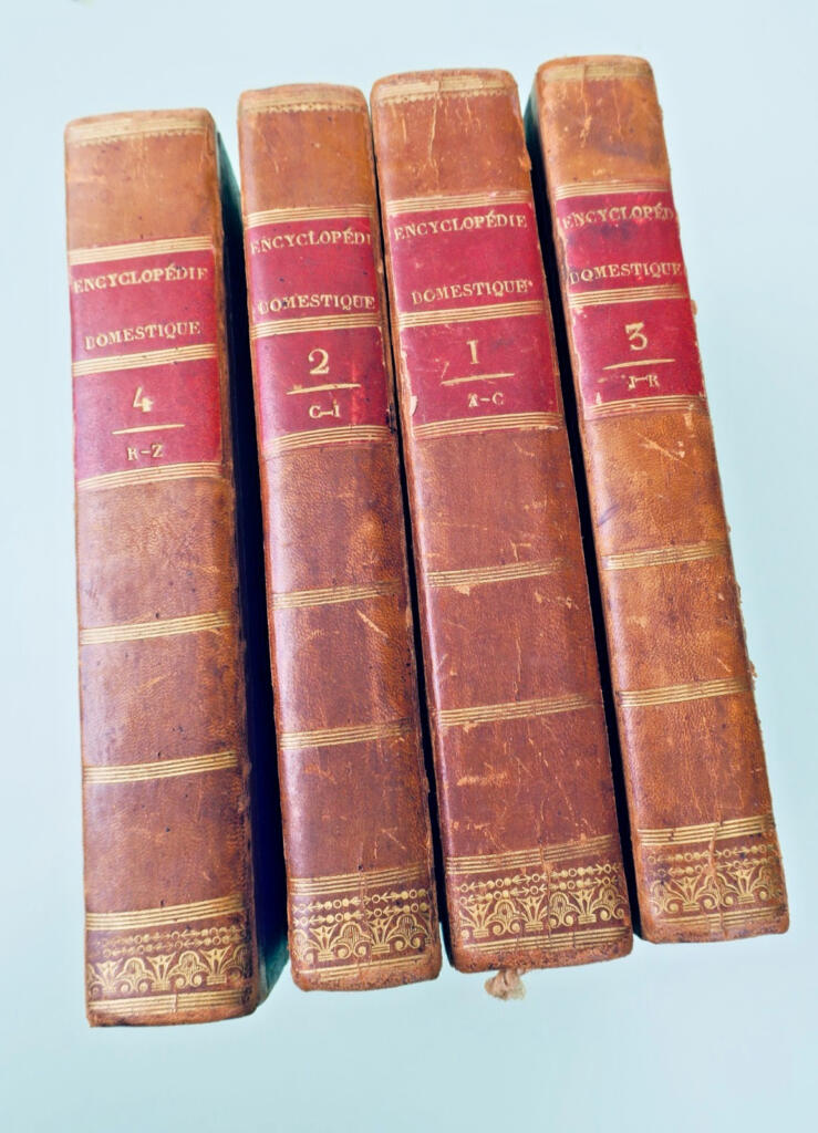 Comprehensive domestic encyclopedia