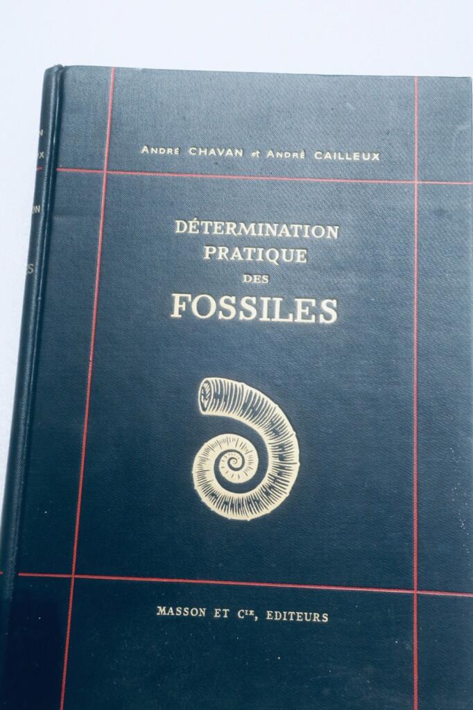 fossile DETERMINATION PRATIQUE DES FOSSILES