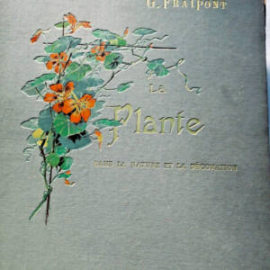 FRAIPONT G. La plante, fleurs, feuillages, fruits, légumes dans la nature et ...