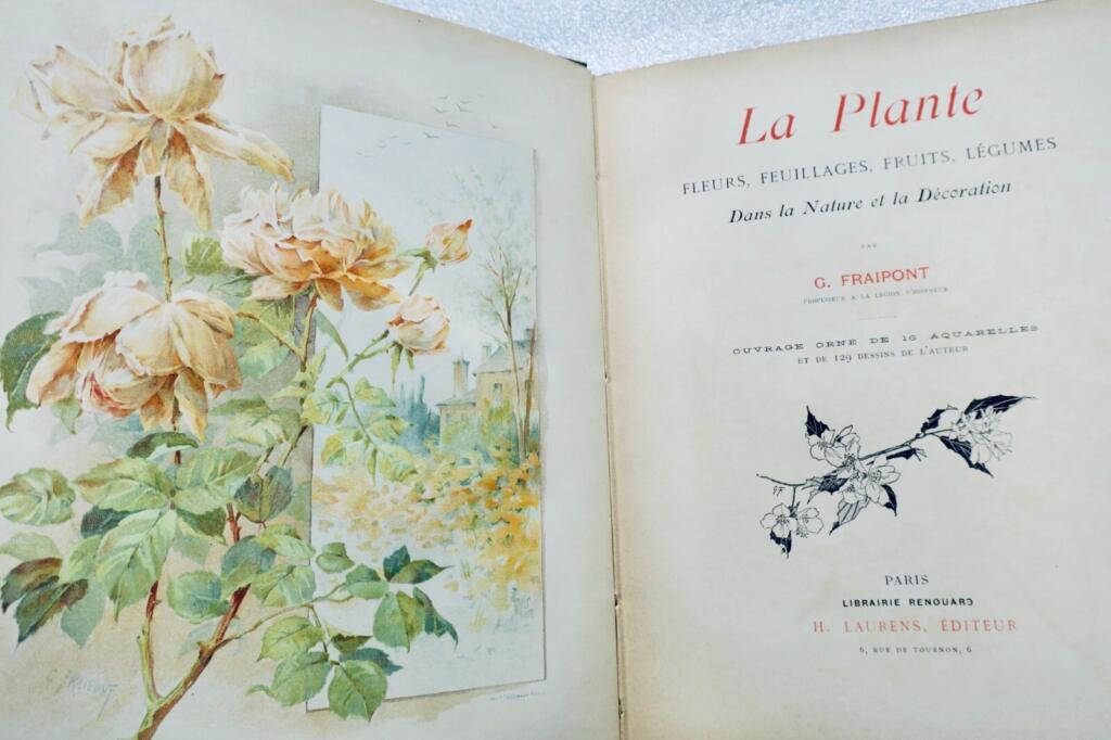 Plants, flowers, foliage, fruits, and vegetables in nature
