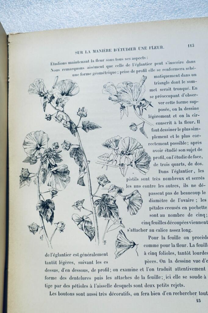 Plants, flowers, foliage, fruits, and vegetables in nature