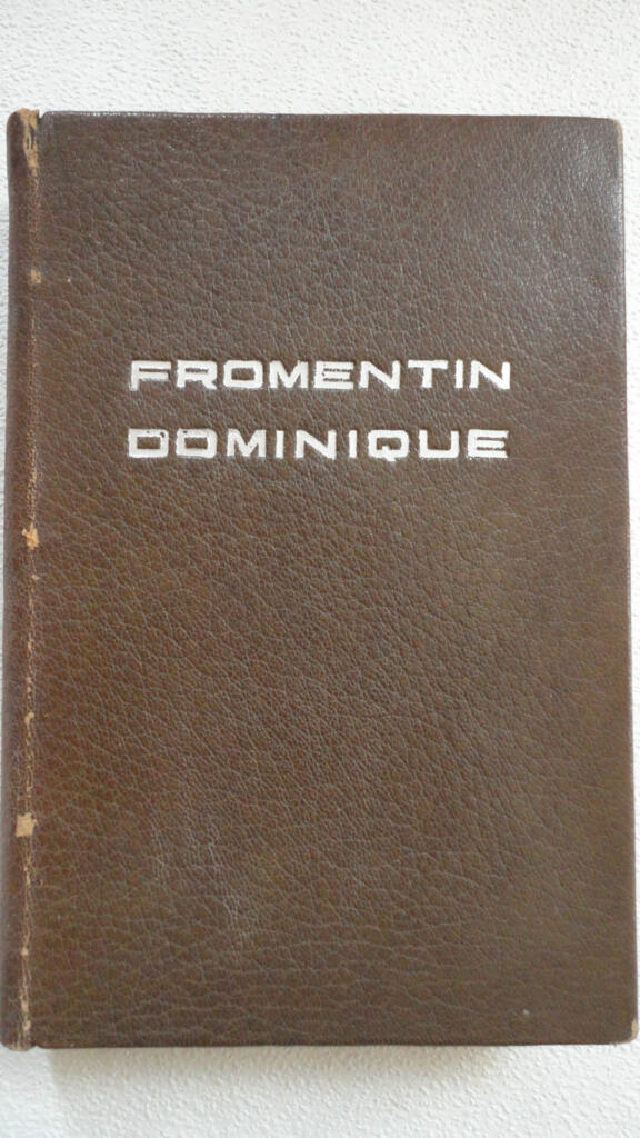 FROMENTIN (Eugène). Dominique. auf BFK-Velin