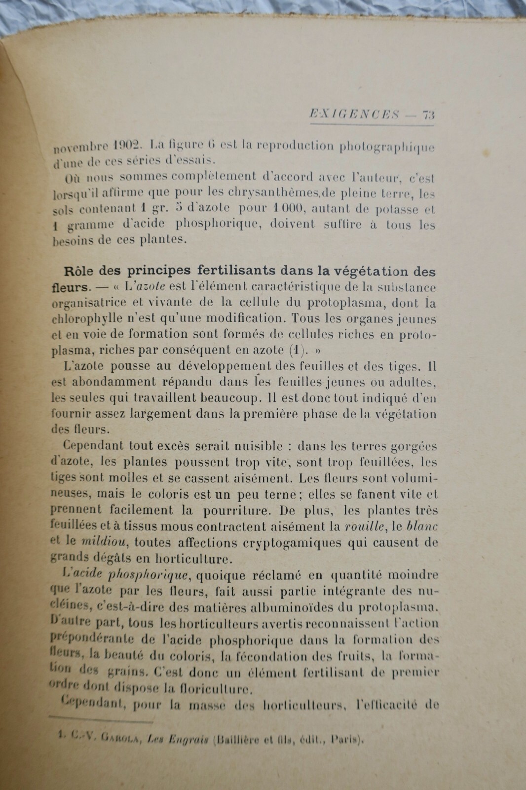 Rationelle Düngung von Zierpflanzen und Blüten - Image 3