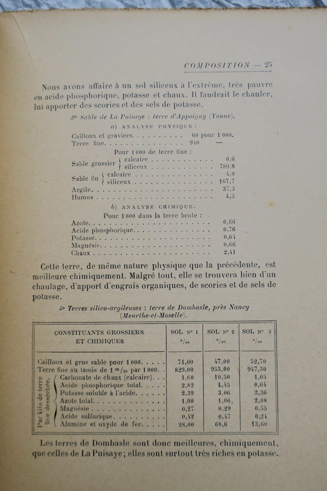Rationelle Düngung von Zierpflanzen und Blüten - Image 5