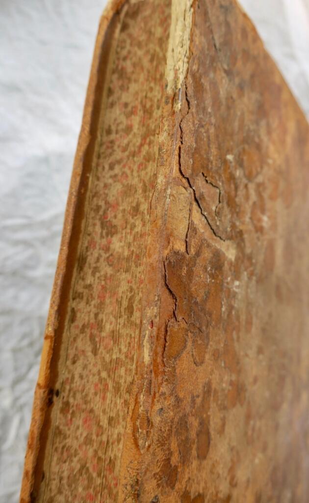 Theologische Grundlagen der Moraltheologie