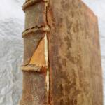 Theologische Grundlagen der Moraltheologie