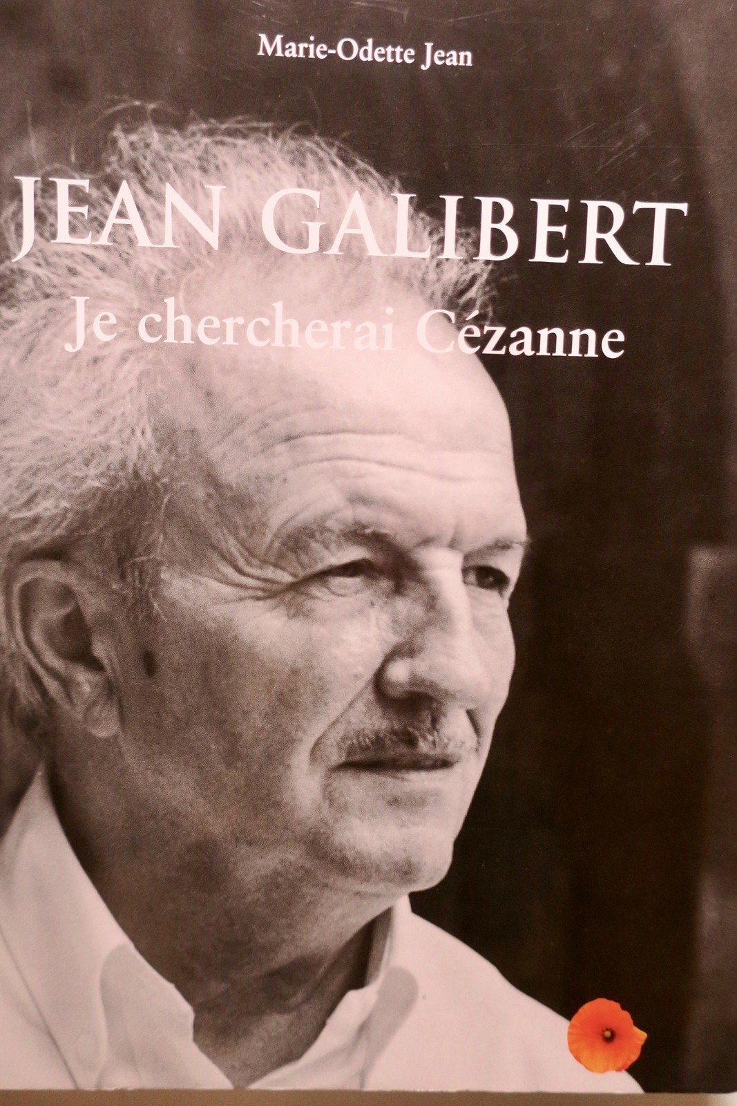 Galibert Cercherò Cézanne 2007