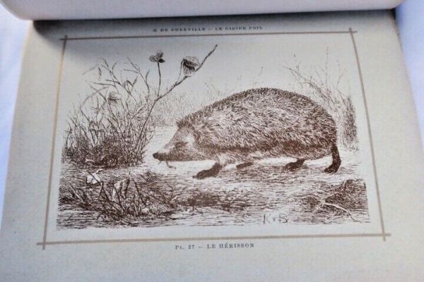 Erforschte Vierbeiner der Jagd