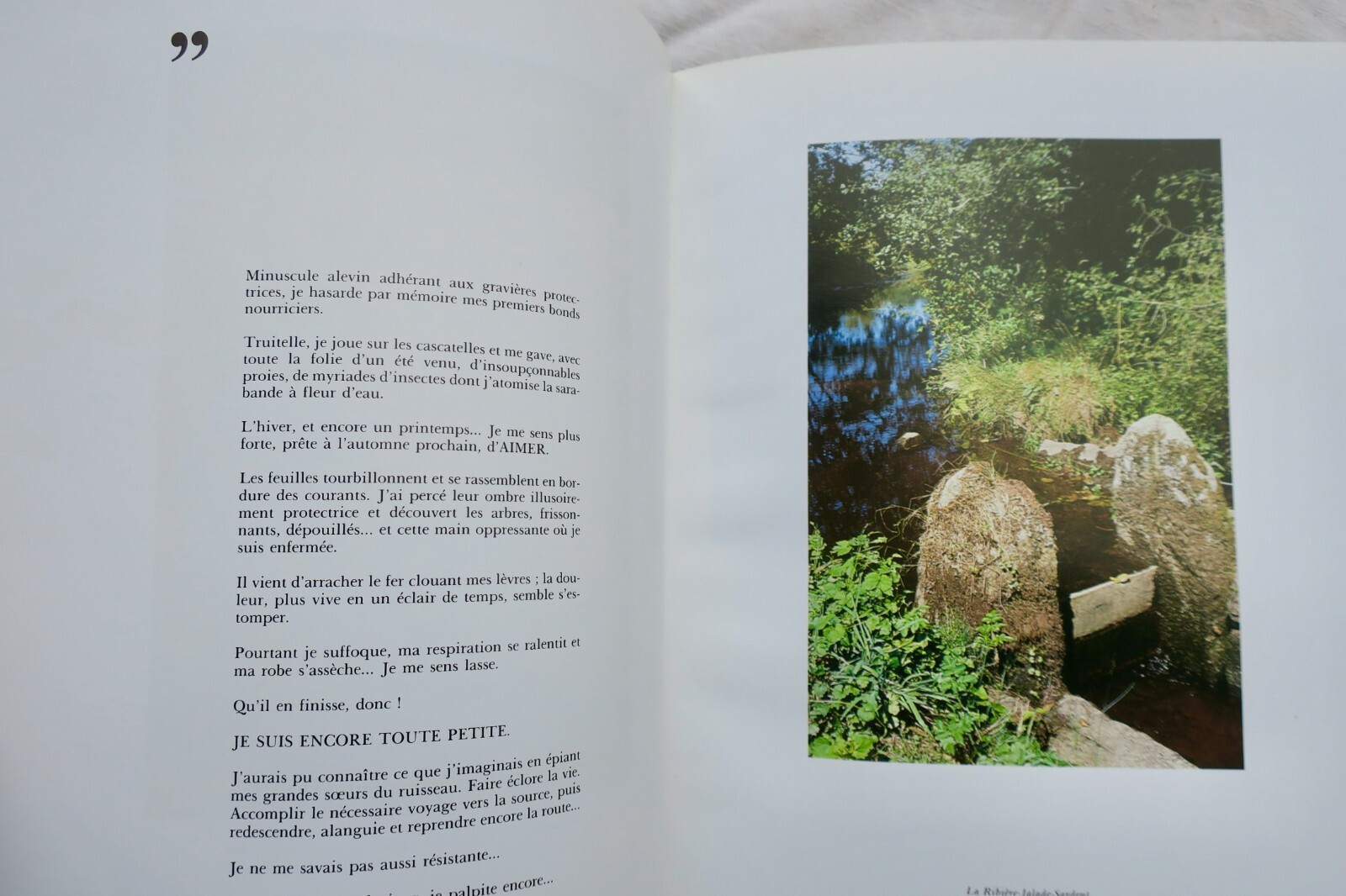 Eine Reise durch die Gartempe - Image 7