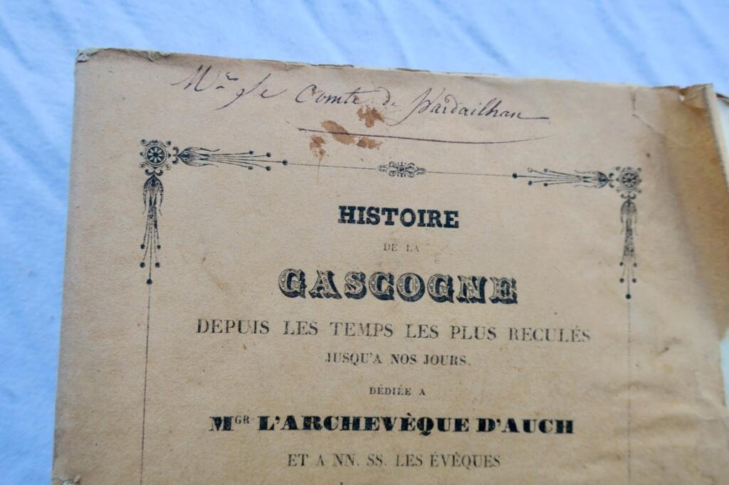 Gascogne: Vollständige Geschichtsdarstellung