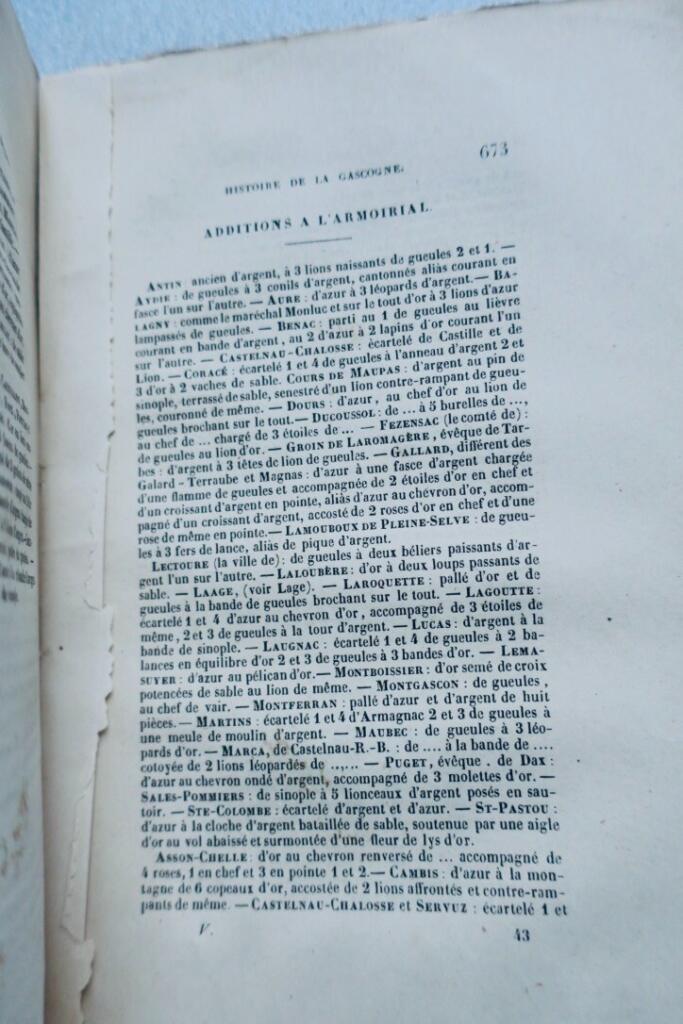 Gascogne: Vollständige Geschichtsdarstellung