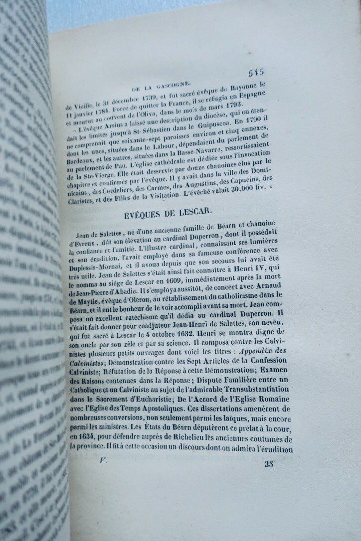 Gascogne: Vollständige Geschichtsdarstellung - Image 16