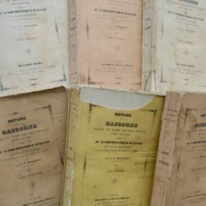 GASCOGNE HISTOIRE DE LA GASCOGNE DEPUIS LES TEMPS LES PLUS RECULES JUSQU...