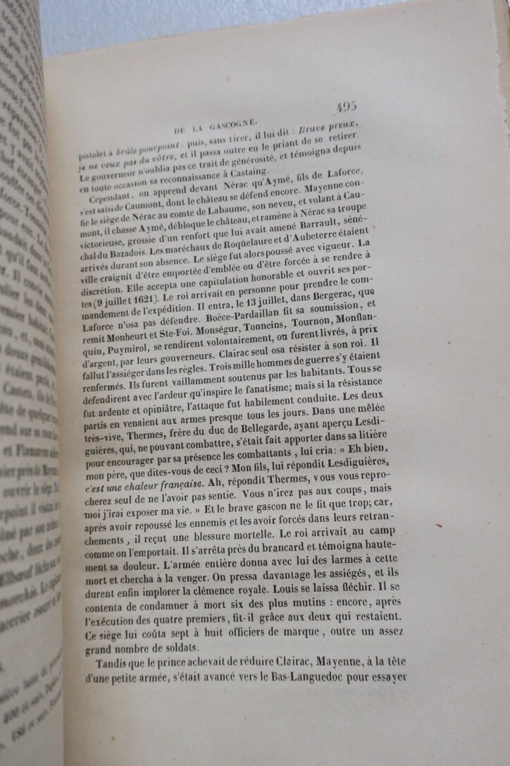Gascogne: Vollständige Geschichtsdarstellung - Image 17