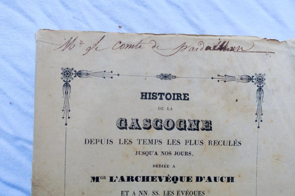 Gascogne: Vollständige Geschichtsdarstellung