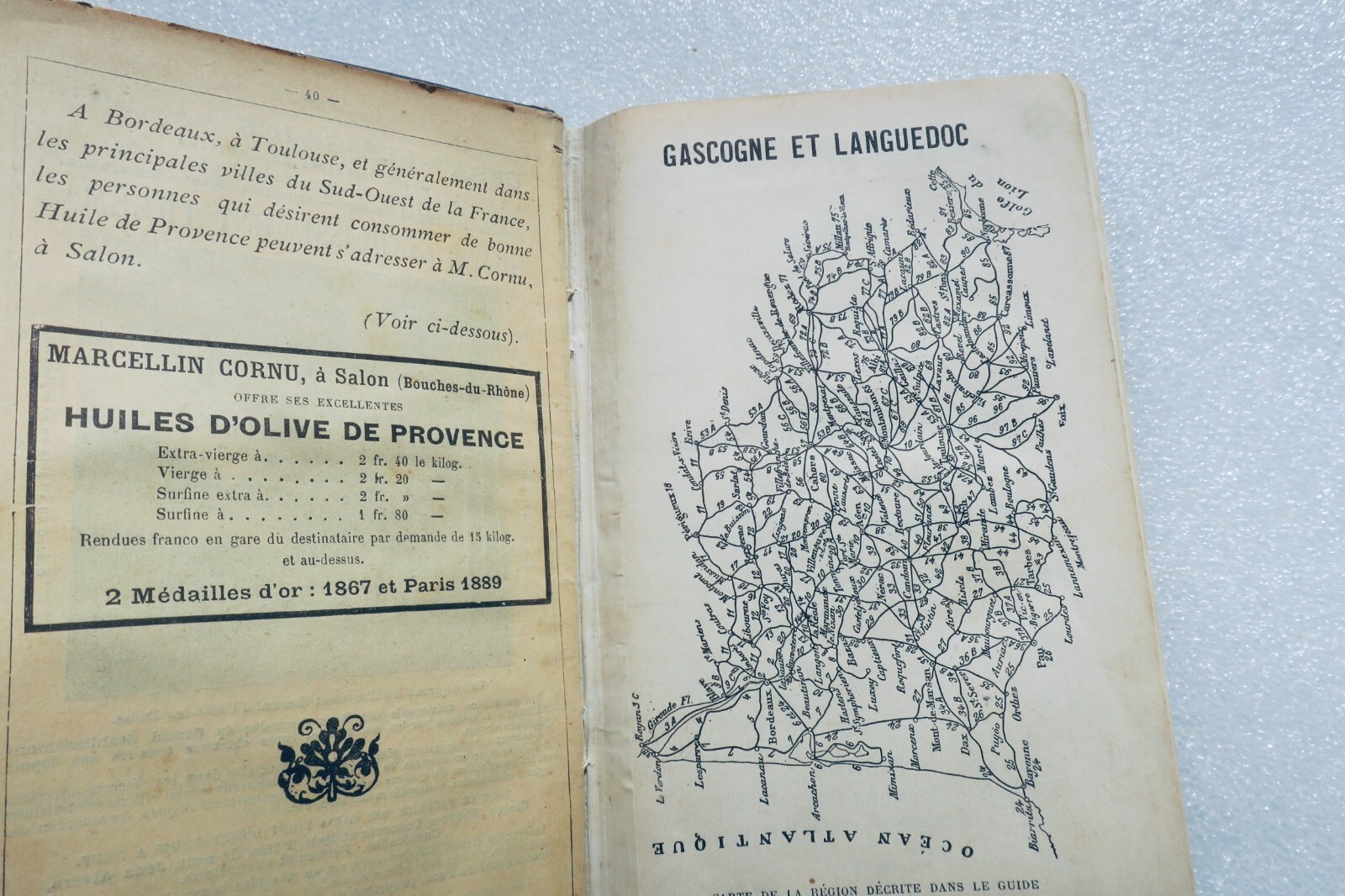 Travel guide for Gascony and Languedoc<span class="lla-card-orig-wrap"><span class="lla-card-orig">❦ GASCOGNE ITINERAIRE GENERAL DE LA FRANCE – GASCOGNE ET LANGUEDOC 1890</span></span> - La Librairie Antique