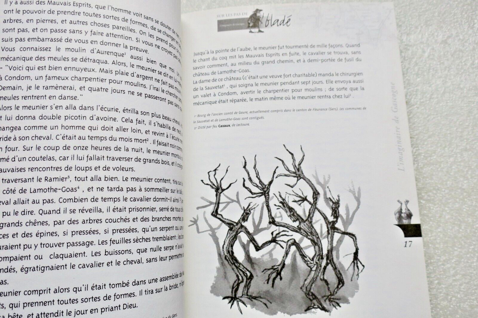 Gascogne sur les pas de Bladé l'imaginaire de Gascogne – Image 12