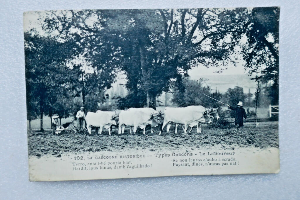 Gaskognische Typen und Charaktere