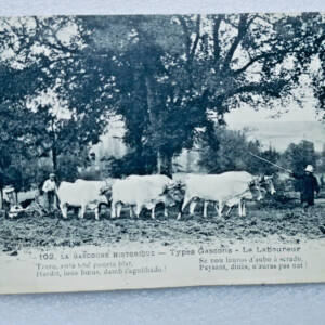 Gascogne Types Gascons 1916 Le Laboureur