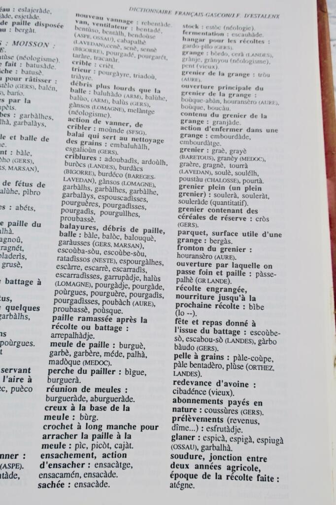 Gascon d&rsquo;Estalenx Dictionnaire français-gascon – des notions aux mots