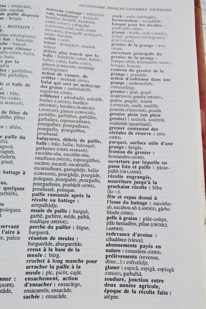 French-Gascon lexical reference, concept-based organization