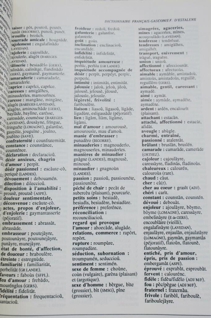 French-Gascon lexical reference, concept-based organization