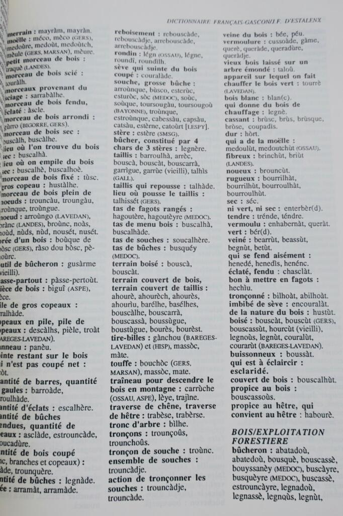 Gascon d&rsquo;Estalenx Dictionnaire français-gascon – des notions aux mots