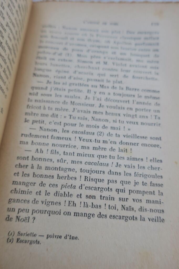 A Provençal Childhood