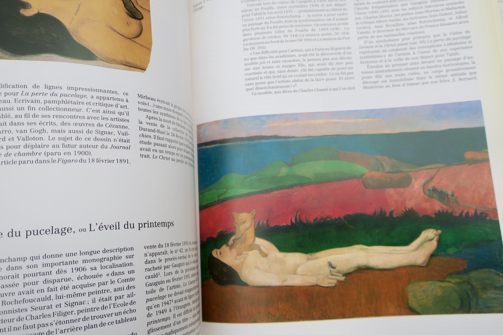 GAUGUIN Ausstellungskatalog 1989 - Image 8