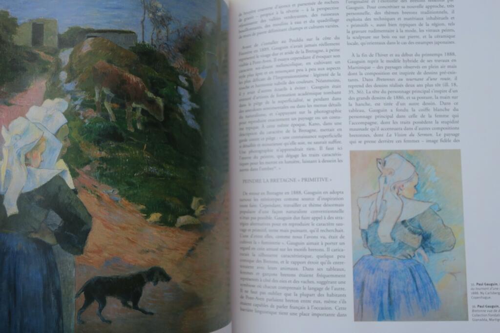 Insight into Gauguin's artistry