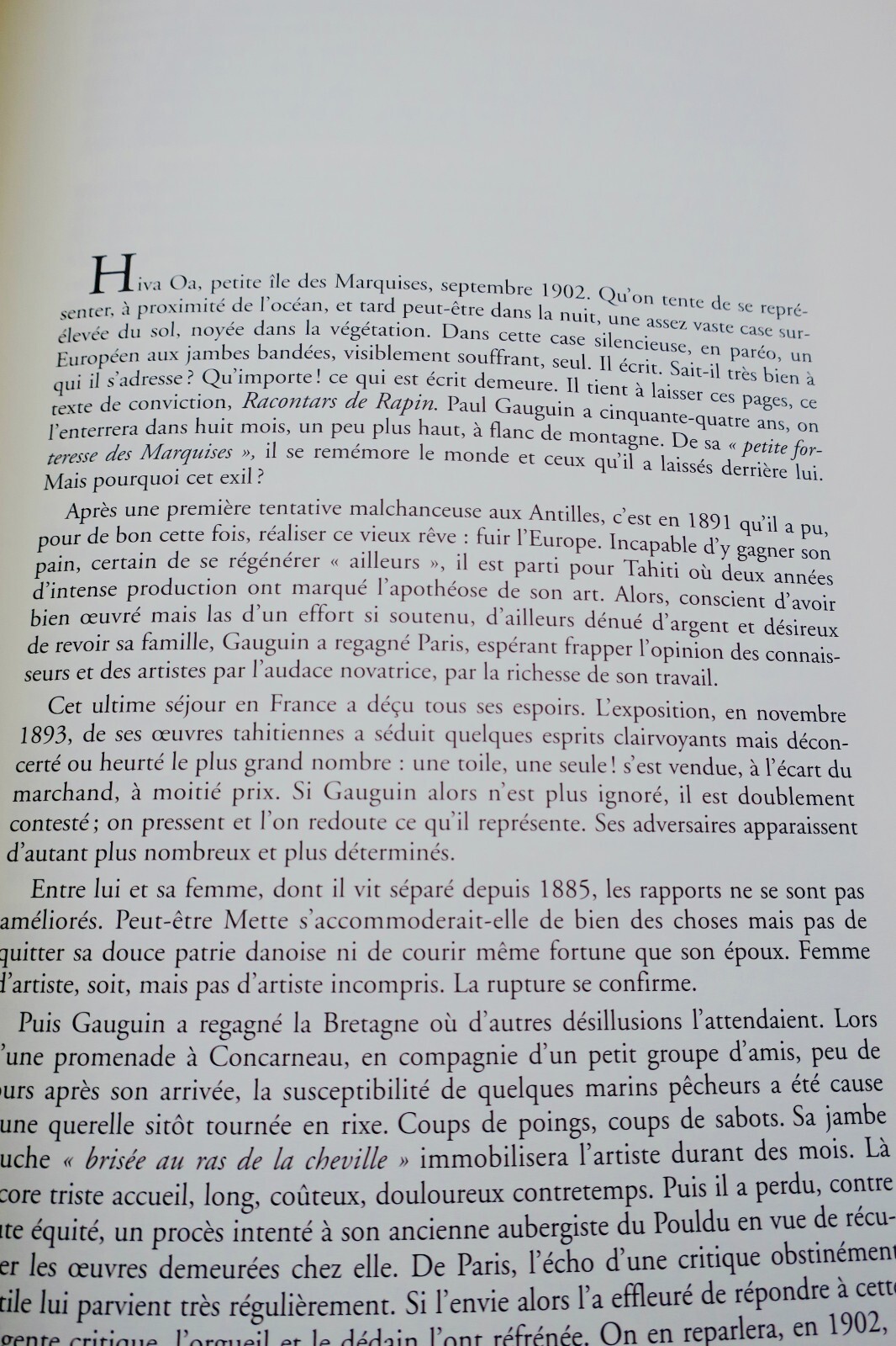 GAUGUIN (Paul) : Racontars de Rapin - Image 14