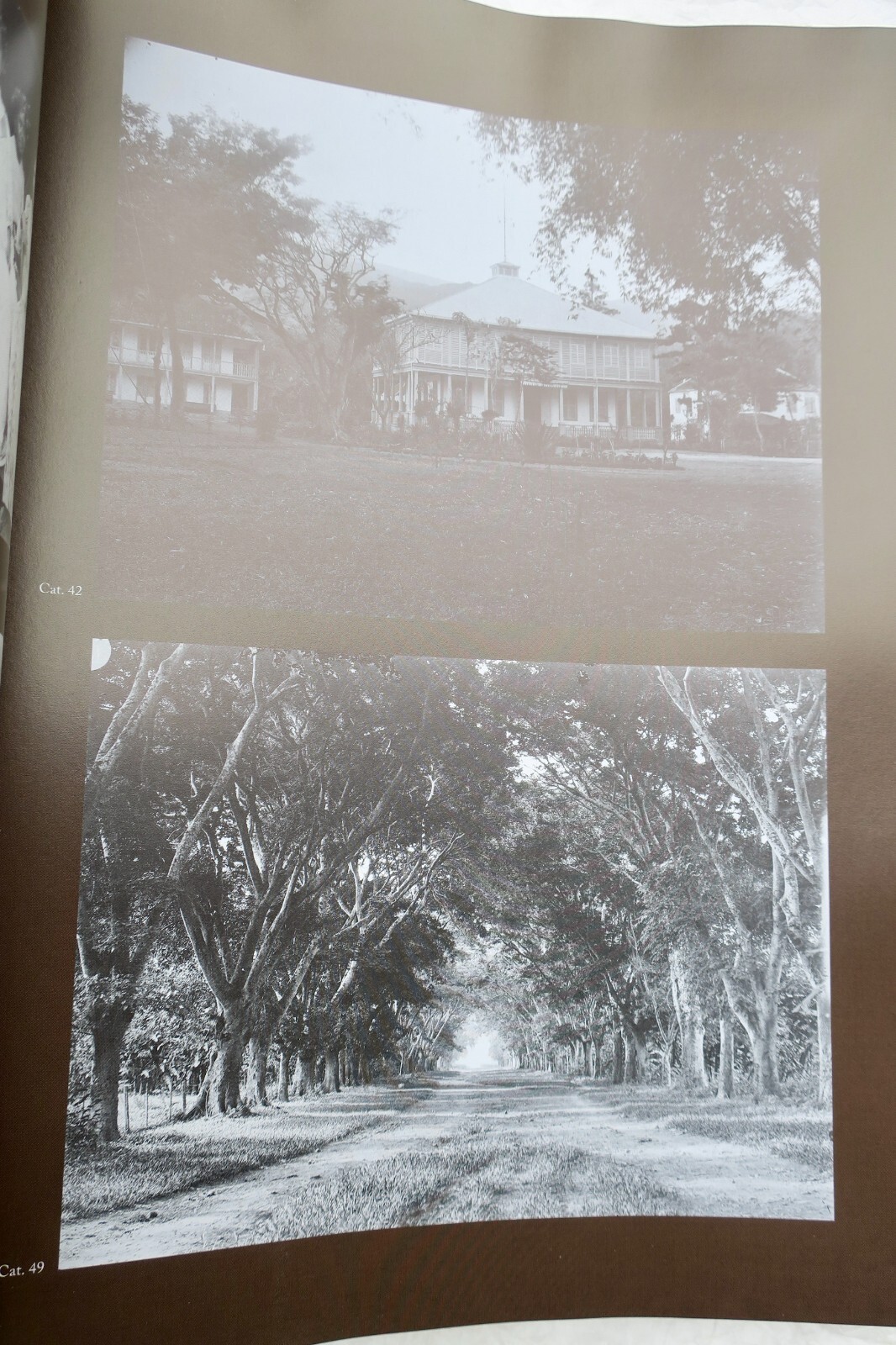 Gauguin's Tropical Studio - Image 11