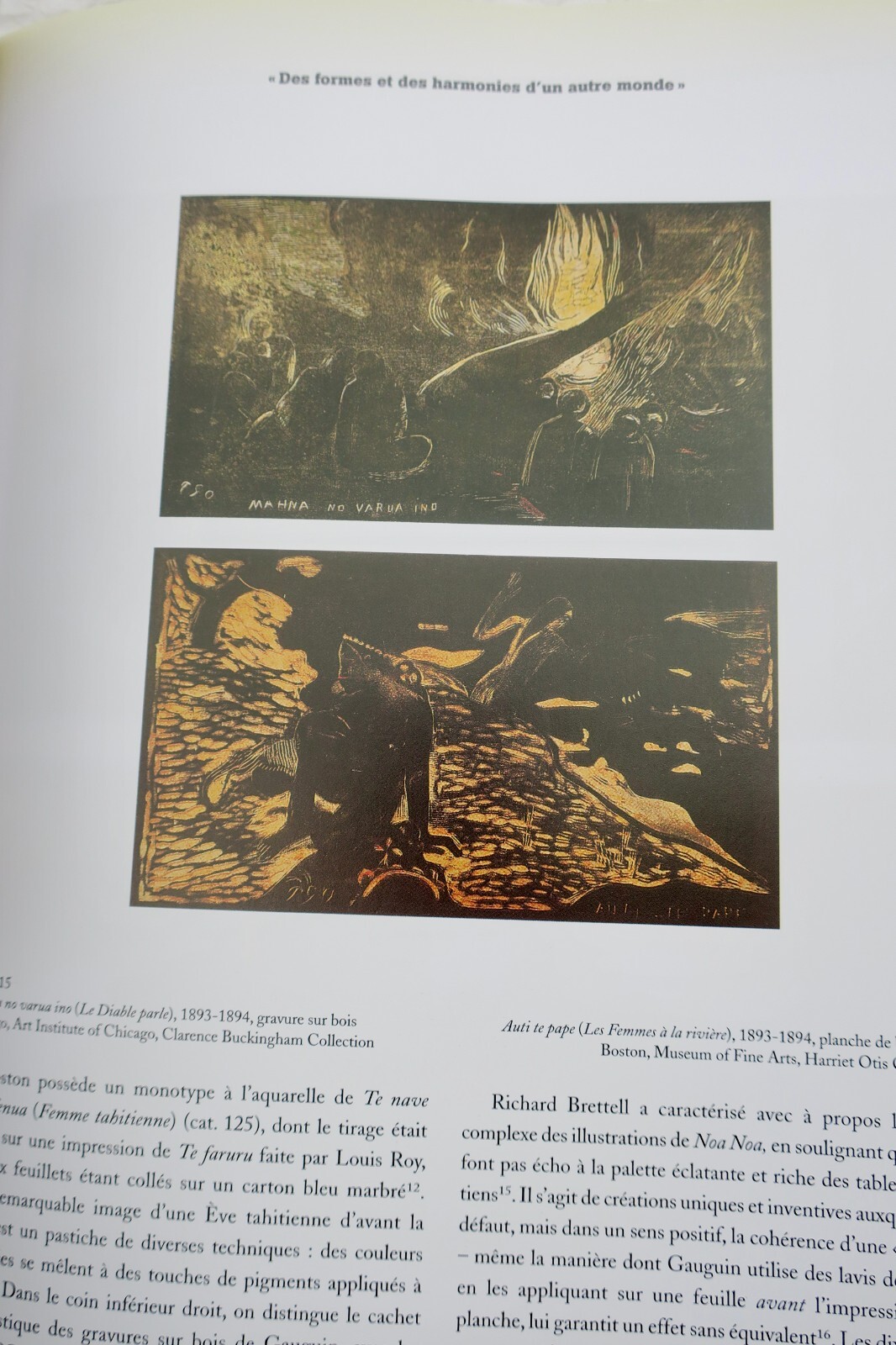 Gauguin's Tropical Studio - Image 5