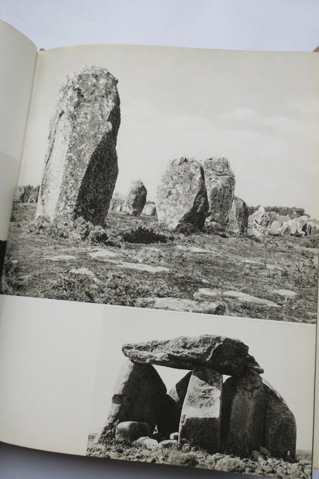 Keltische Kunst durch den Tierkreis - Image 9