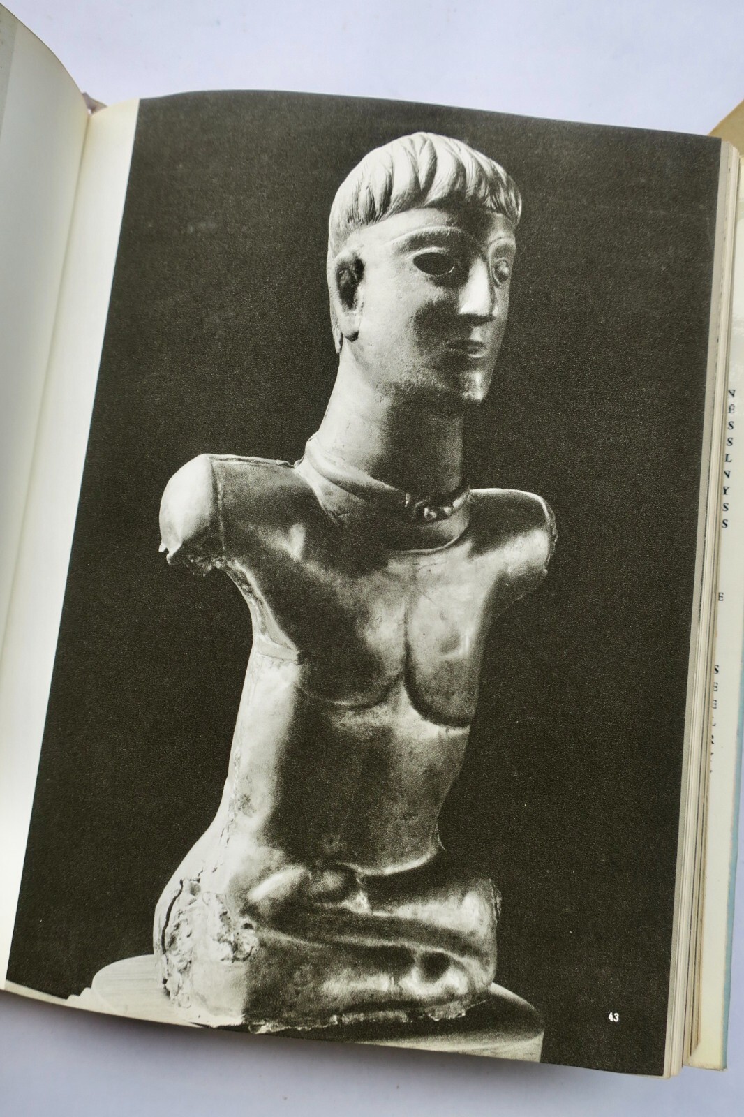 Keltische Kunst durch den Tierkreis - Image 5