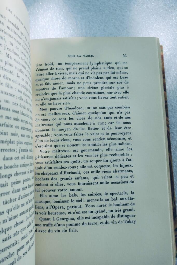 Young France: Humorous Novels
