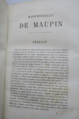 Novel of passion and artistic transgression