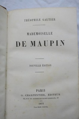 Novel of passion and artistic transgression
