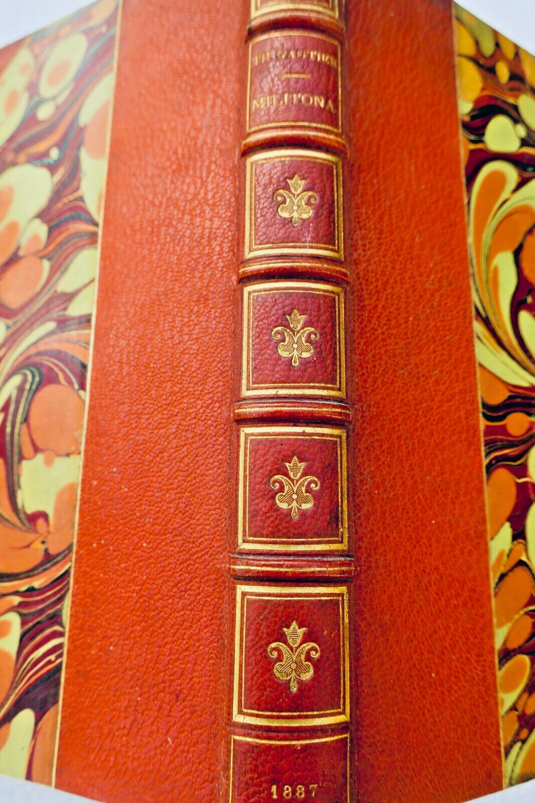 Gautier Théophile Militona Rel. Fields – Image 2