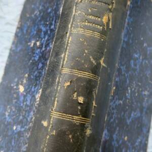 Gautier Théophile Poésies complètes Tome premier 1884