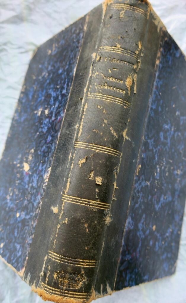 Complete Poems, Volume I