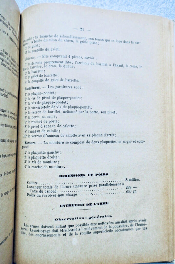 Gendarmerie-Theorien: Ein historisches Handbuch